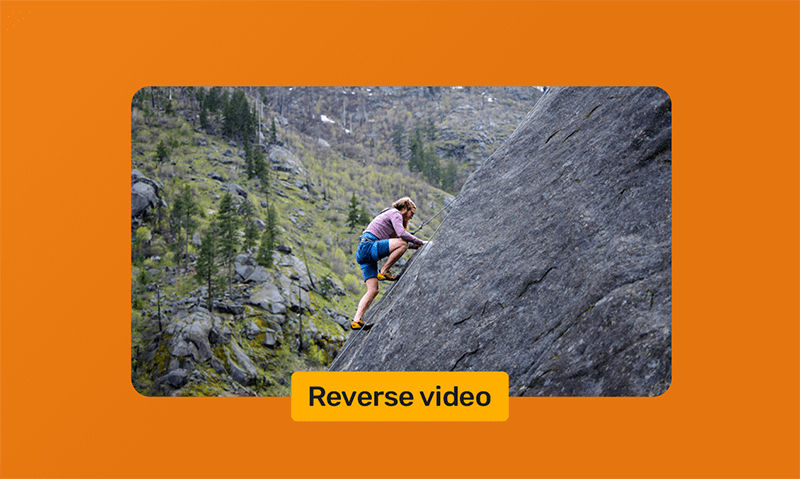 Reverse Video Free