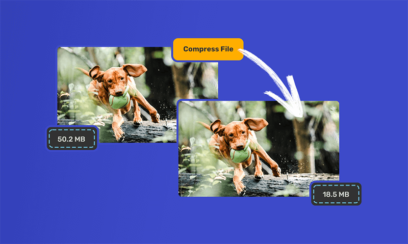 Bestes Videokompressor-Tool Bestes Videokompressor-Tool